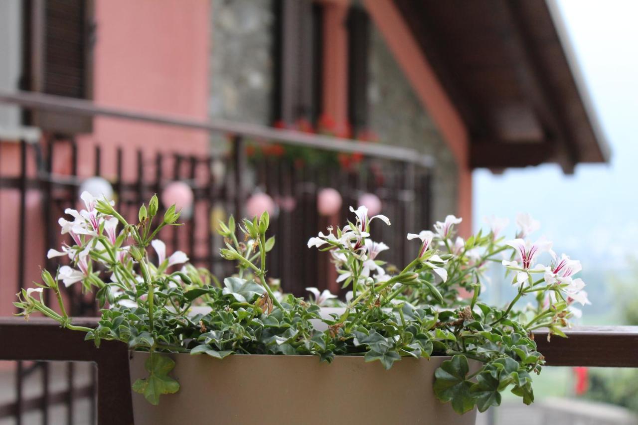 Apartment Vista Monastero Dubino エクステリア 写真